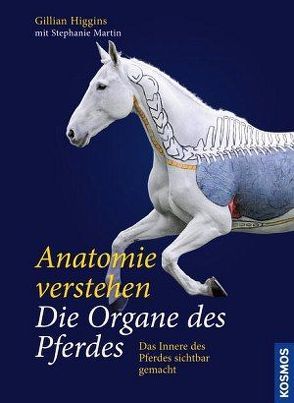 Anatomie verstehen – Die Organe des Pferdes von Higgins,  Gillian