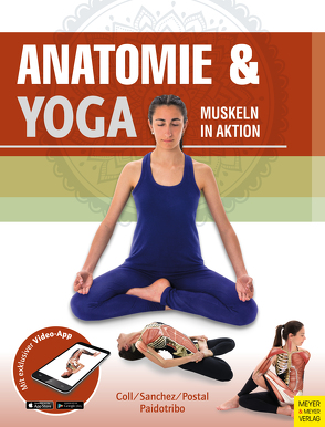Anatomie & Yoga von Paidotribo