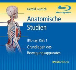Anatomische Studien von Dobner,  Michael, Graf,  Stefan, Gunsch,  Gerald, Schuster,  Fridolin, Schwaberl,  Eduard
