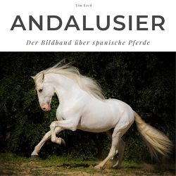 Andalusier von Koch,  Tim