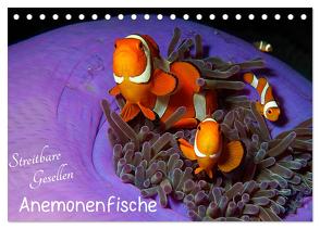 Anemonenfische – Streitbare Gesellen (Tischkalender 2024 DIN A5 quer), CALVENDO Monatskalender von Niemann,  Ute