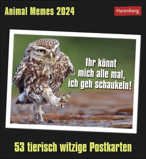 Animal Memes Postkartenkalender 2024 von Elena Merschhemke