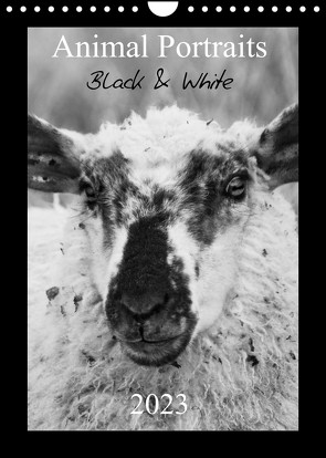 Animal Portraits Black & White 2023 CH Version (Wandkalender 2023 DIN A4 hoch) von Hebgen,  Peter