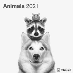 Animals 2021 – Wand-Kalender – Broschüren-Kalender – 30×30 – 30×60 geöffnet – Tier-Kalender