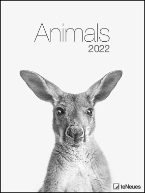 Animals 2022 – Foto-Kalender – Poster-Kalender – 48×64 – Tiere