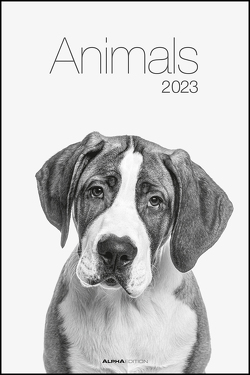 Animals 2023 – Foto-Kalender – Poster-Kalender – 33×49,5 – Tiere
