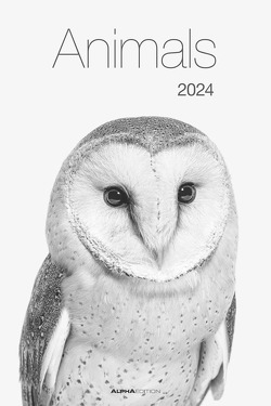 Animals 2024 – Foto-Kalender – Poster-Kalender – 33×49,5 – Tiere