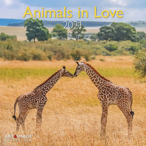 Animals in Love 2021 – Wand-Kalender – Broschüren-Kalender – A&I – 30×30 – 30×60 geöffnet