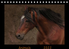 Animals (Tischkalender 2022 DIN A5 quer) von Möckel / Lucy L!u,  Claudia