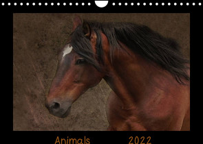 Animals (Wandkalender 2022 DIN A4 quer) von Möckel / Lucy L!u,  Claudia