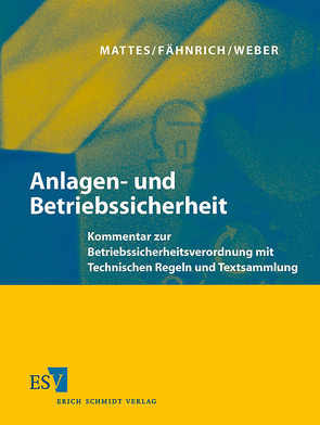 Anlagen- und Betriebssicherheit – Abonnement Pflichtfortsetzung für mindestens 12 Monate von Fähnrich,  Ralph