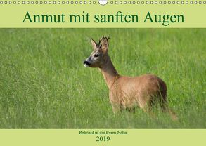 Anmut mit sanften Augen – Rehwild in der freien Natur (Wandkalender 2019 DIN A3 quer) von Grahneis,  Sabine