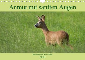 Anmut mit sanften Augen – Rehwild in der freien Natur (Wandkalender 2019 DIN A4 quer) von Grahneis,  Sabine