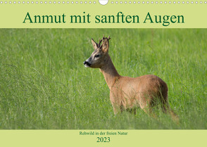 Anmut mit sanften Augen – Rehwild in der freien Natur (Wandkalender 2023 DIN A3 quer) von Grahneis,  Sabine