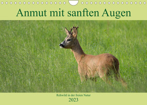 Anmut mit sanften Augen – Rehwild in der freien Natur (Wandkalender 2023 DIN A4 quer) von Grahneis,  Sabine