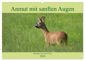 Anmut mit sanften Augen – Rehwild in der freien Natur (Wandkalender 2024 DIN A2 quer), CALVENDO Monatskalender von Grahneis,  Sabine