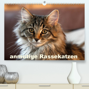 anmutige Rassekatzen (Premium, hochwertiger DIN A2 Wandkalender 2023, Kunstdruck in Hochglanz) von Scholze,  Verena