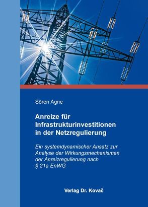 Anreize für Infrastrukturinvestitionen in der Netzregulierung von Agne,  Sören