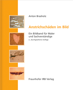 Anstrichschäden im Bild. von Brasholz,  Anton