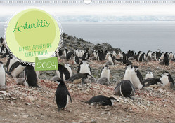 Antarktis Auf der Entdeckung ihrer Tierwelt (Wandkalender 2024 DIN A3 quer) von Gaymard,  Alain
