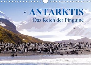 Antarktis – Das Reich der Pinguine CH-Version (Wandkalender 2018 DIN A4 quer) von Steinwald,  Max