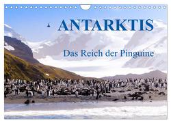 Antarktis – Das Reich der Pinguine (Wandkalender 2024 DIN A4 quer), CALVENDO Monatskalender von Steinwald,  Max