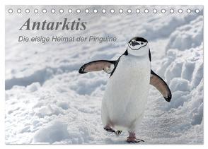 Antarktis, die eisige Heimat der Pinguine (Tischkalender 2024 DIN A5 quer), CALVENDO Monatskalender von Junio,  Michele