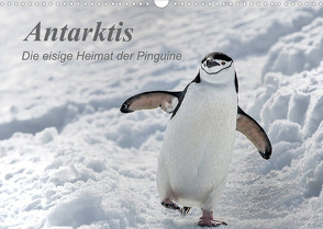 Antarktis, die eisige Heimat der Pinguine (Wandkalender 2023 DIN A3 quer) von Junio,  Michele