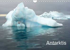 Antarktis (Wandkalender 2022 DIN A4 quer) von Ange