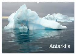 Antarktis (Wandkalender 2024 DIN A2 quer), CALVENDO Monatskalender von AnGe,  AnGe