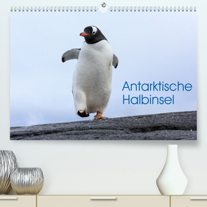 Antarktische Halbinsel (Premium, hochwertiger DIN A2 Wandkalender 2023, Kunstdruck in Hochglanz) von Oberholzer,  David