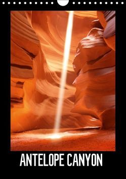 Antelope Canyon (Wandkalender immerwährend DIN A4 hoch) von Arlt,  Michael