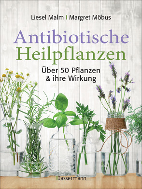 Antibiotische Heilpflanzen von Malm,  Liesel, Möbus,  Margret