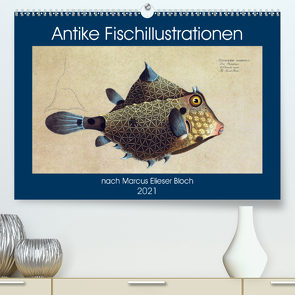 Antike Fischillustrationen nach Marcus Elieser Bloch (Premium, hochwertiger DIN A2 Wandkalender 2021, Kunstdruck in Hochglanz) von Bonheur18 Marena Camadini Switzerland,  Kavodedition