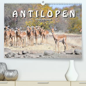 Antilopen, schön und schnell (Premium, hochwertiger DIN A2 Wandkalender 2020, Kunstdruck in Hochglanz) von Styppa,  Robert