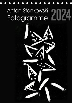 Anton Stankowski Fotogramme (Tischkalender 2024 DIN A5 hoch), CALVENDO Monatskalender von Stankowski,  Anton