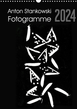 Anton Stankowski Fotogramme (Wandkalender 2024 DIN A3 hoch), CALVENDO Monatskalender von Stankowski,  Anton