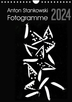 Anton Stankowski Fotogramme (Wandkalender 2024 DIN A4 hoch), CALVENDO Monatskalender von Stankowski,  Anton