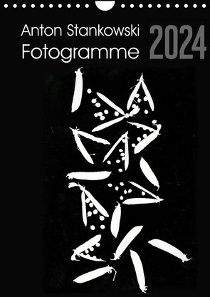 Anton Stankowski Fotogramme (Wandkalender 2024 DIN A4 hoch) von Stankowski,  Anton
