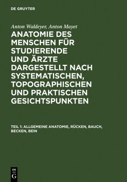 Anton Waldeyer; Anton Mayet: Anatomie des Menschen / Allgemeine Anatomie, Rücken, Bauch, Becken, Bein von Mayet,  Anton, Waldeyer,  Anton