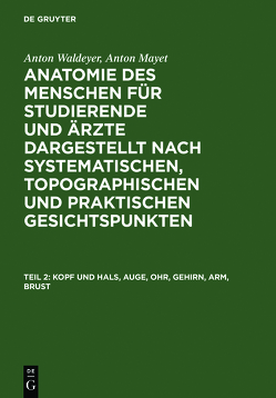 Anton Waldeyer; Anton Mayet: Anatomie des Menschen / Kopf und Hals, Auge, Ohr, Gehirn, Arm, Brust von Schröder,  U.