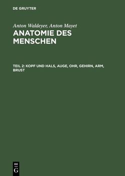 Anton Waldeyer; Anton Mayet: Anatomie des Menschen / Kopf und Hals, Auge, Ohr, Gehirn, Arm, Brust von Mayet,  Anton, Waldeyer,  Anton