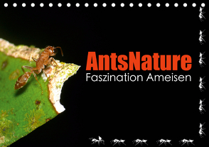 AntsNature – Faszination Ameisen (Tischkalender 2021 DIN A5 quer) von Drenske,  Bianca