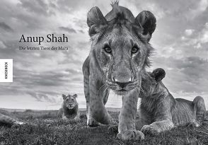Anup Shah – Die letzten Tiere der Mara von Kretschmer,  Ulrike, Shah,  Anup