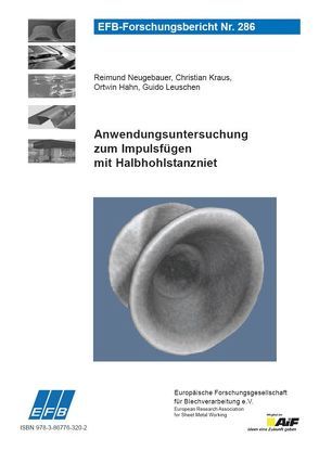 Anwendungsuntersuchung zum Impulsfügen mit Halbhohlstanzniet von Hahn,  Ortwin, Kraus,  Christian, Leuschen,  Guido, Neugebauer,  Reimund