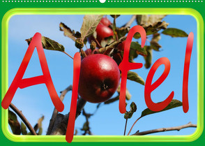 Apfel (Wandkalender 2023 DIN A2 quer) von tinadefortunata