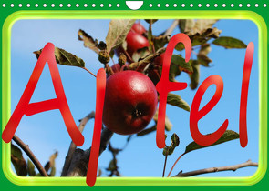 Apfel (Wandkalender 2023 DIN A4 quer) von tinadefortunata