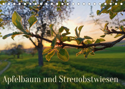 Apfelbaum und Streuobstwiesen (Tischkalender 2023 DIN A5 quer) von Weis,  Stefan