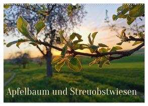 Apfelbaum und Streuobstwiesen (Wandkalender 2024 DIN A2 quer), CALVENDO Monatskalender von Weis,  Stefan