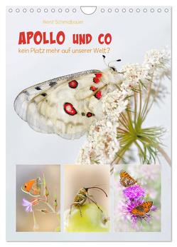 APOLLO UND CO (Wandkalender 2024 DIN A4 hoch), CALVENDO Monatskalender von Schmidbauer,  Heinz